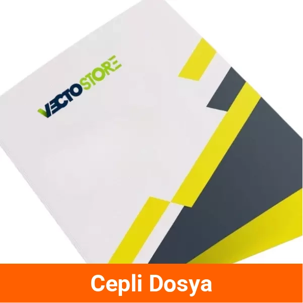 Cepli Dosya