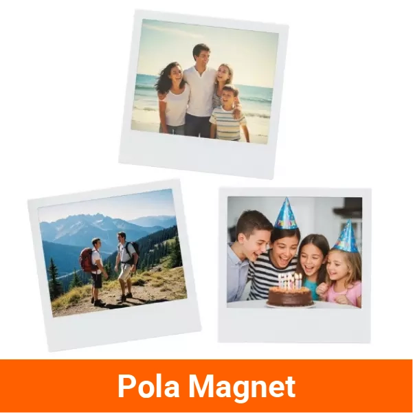 Pola Magnet