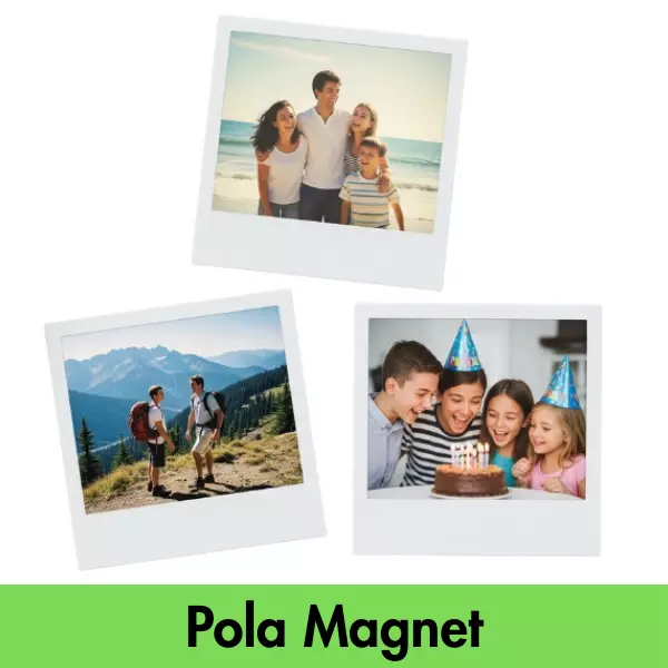 Pola Magnet