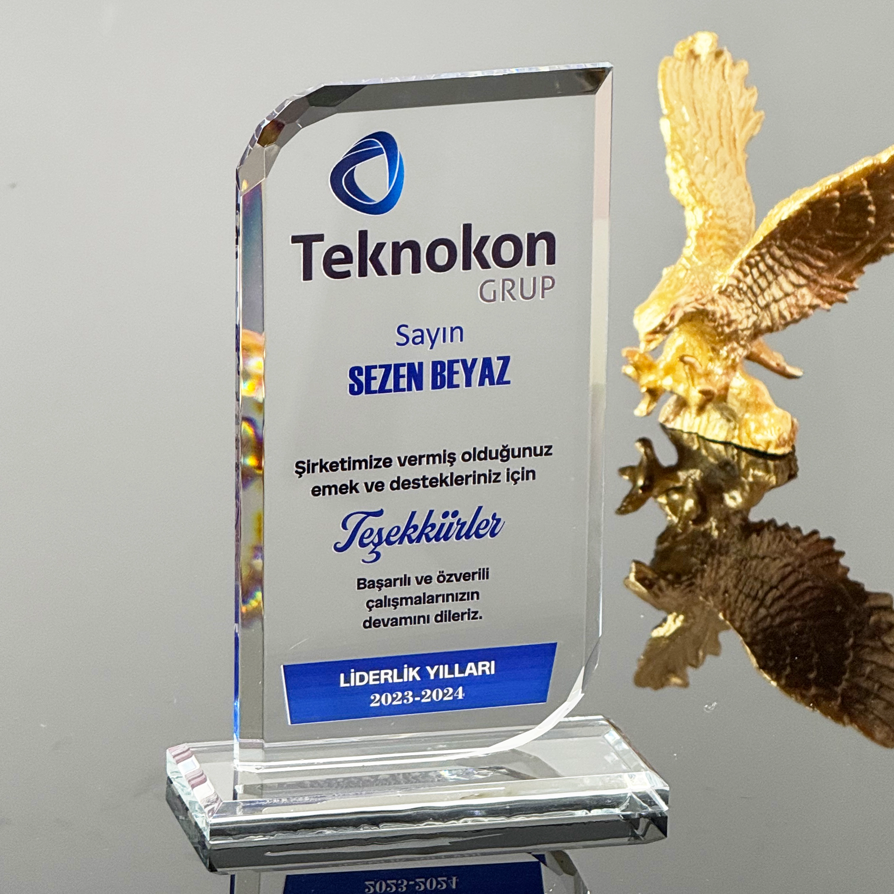 VS-P111%20Kristal%20Cam%20Plaket