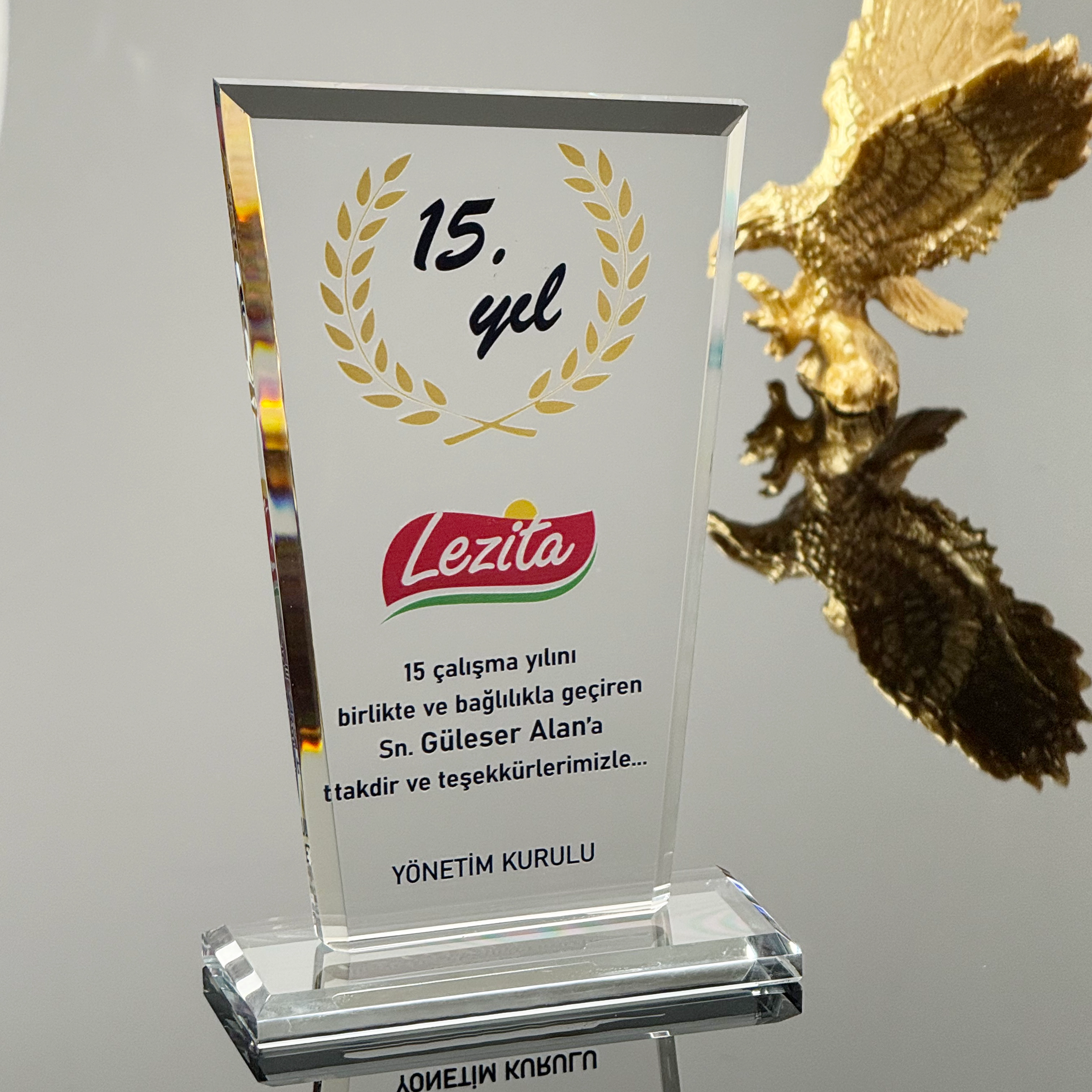 VS-P118%20Kristal%20Cam%20Plaket