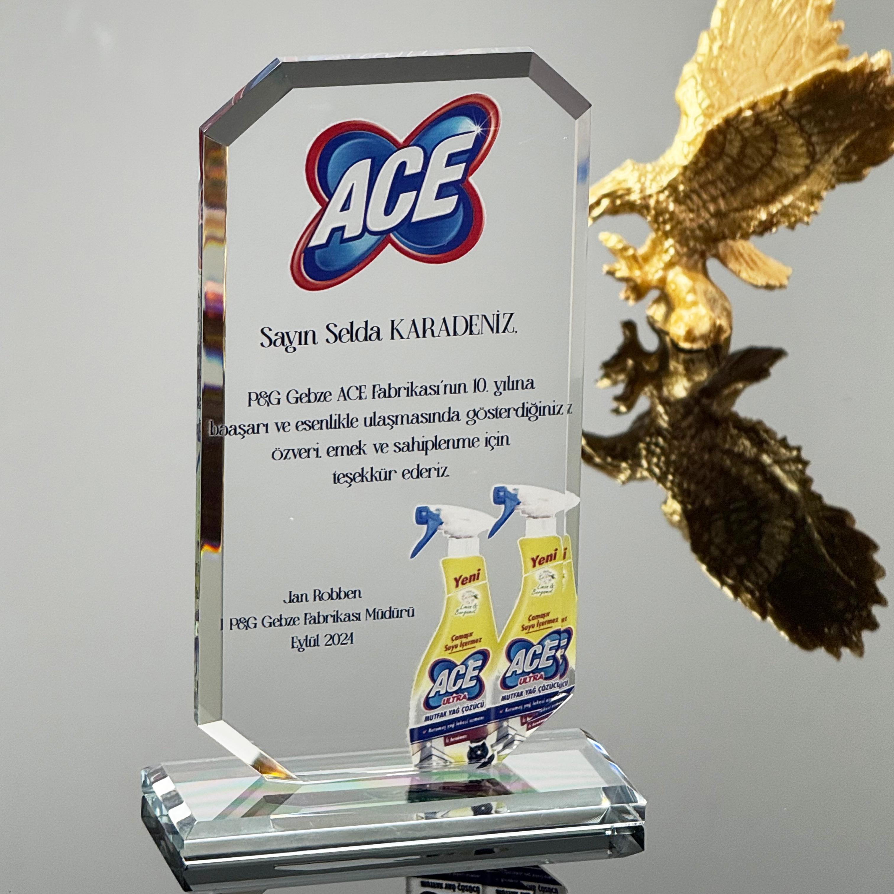 VS-P119%20Kristal%20Cam%20Plaket