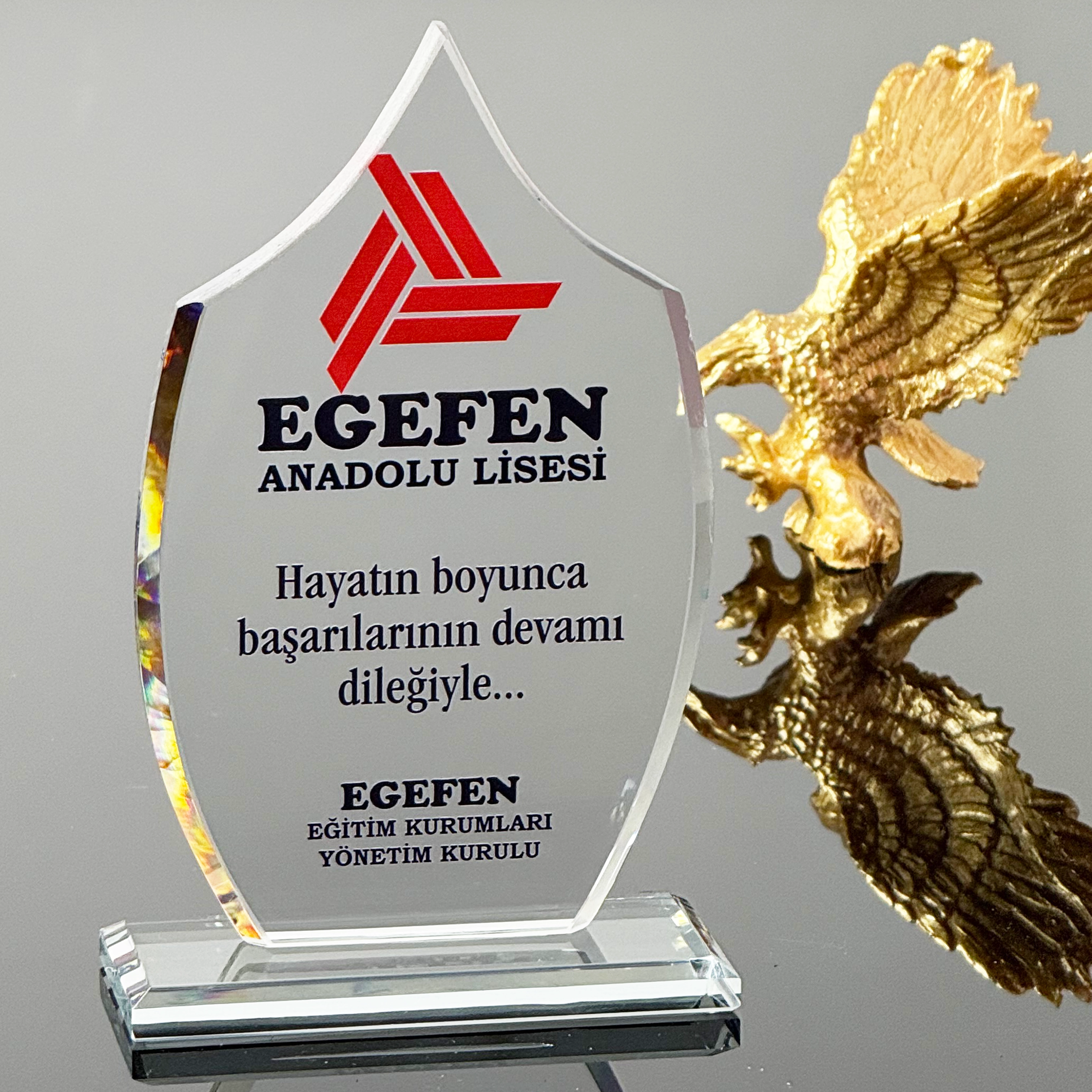 VS-P123%20Kristal%20Cam%20Plaket