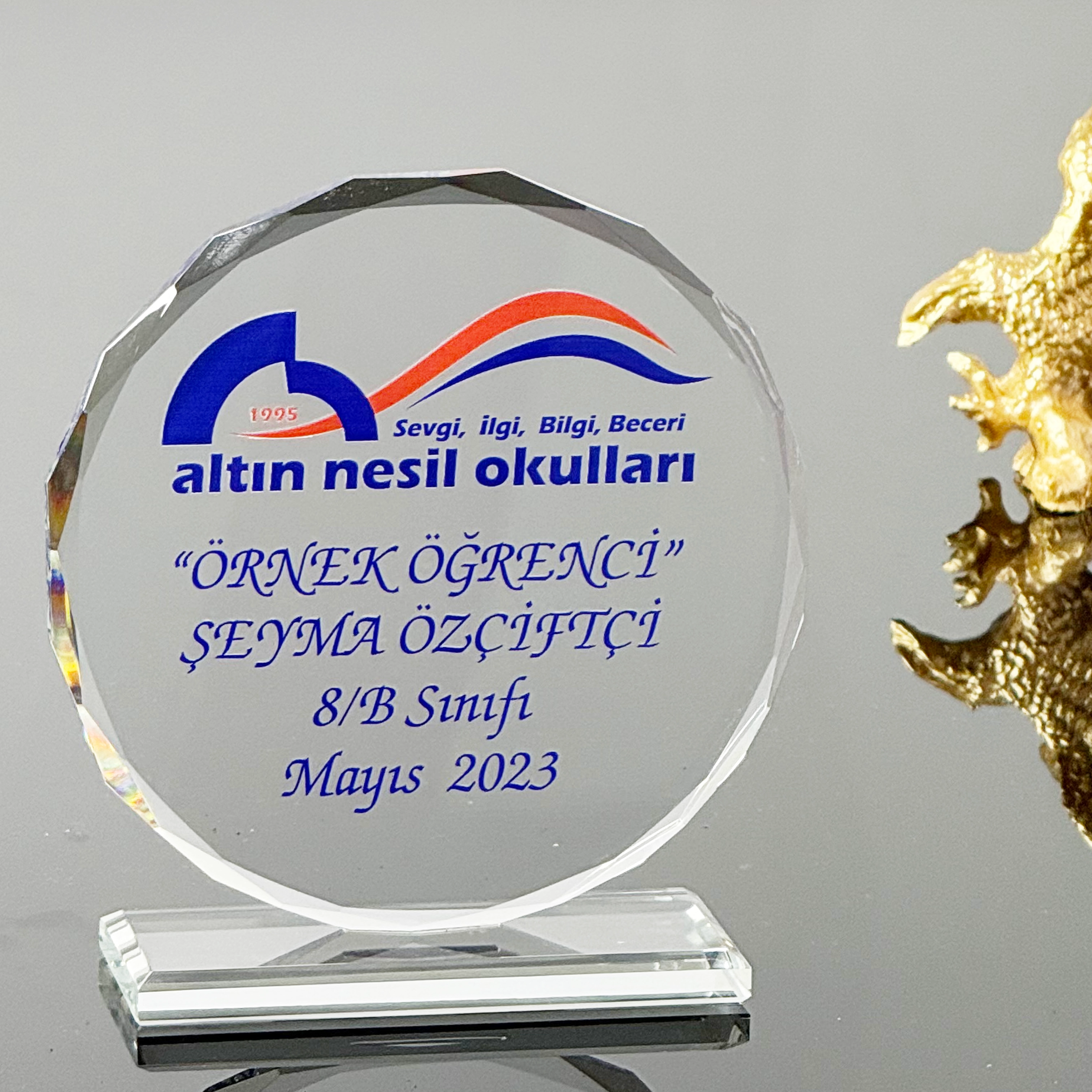 VS-P219%20Kristal%20Cam%20Plaket