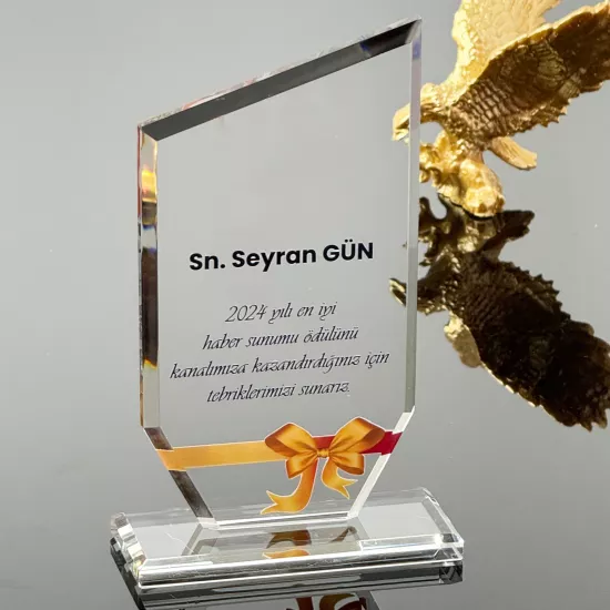 VS-P102 Kristal Cam Plaket