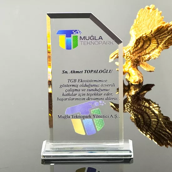 VS-P105 Kristal Cam Plaket