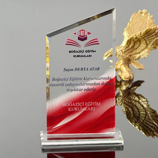 VS-P106 Kristal Cam Plaket