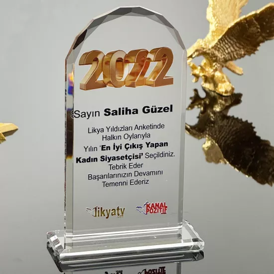 VS-P107 Kristal Cam Plaket