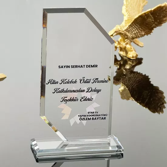 VS-P109 Kristal Cam Plaket