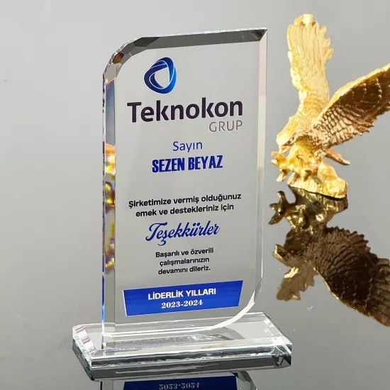 VS-P111 Kristal Cam Plaket