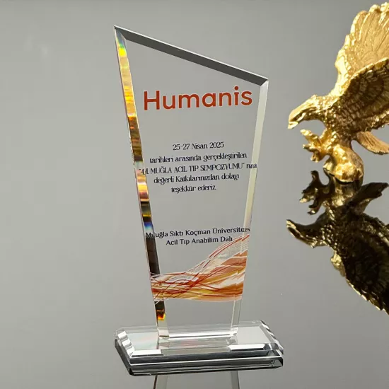 VS-P115 Kristal Cam Plaket