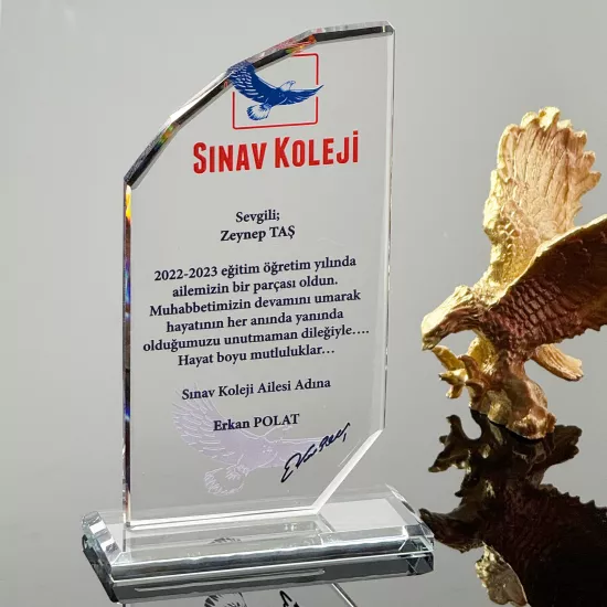 VS-P122 Kristal Cam Plaket