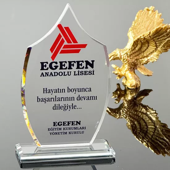 VS-P123 Kristal Cam Plaket