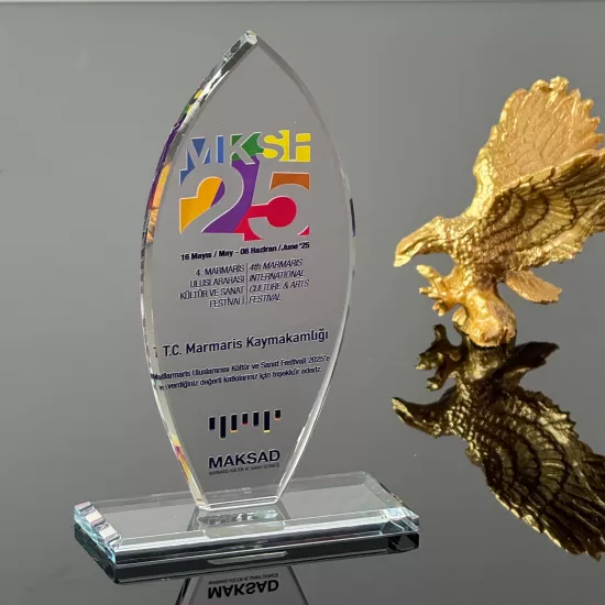 VS-P133 Kristal Cam Plaket