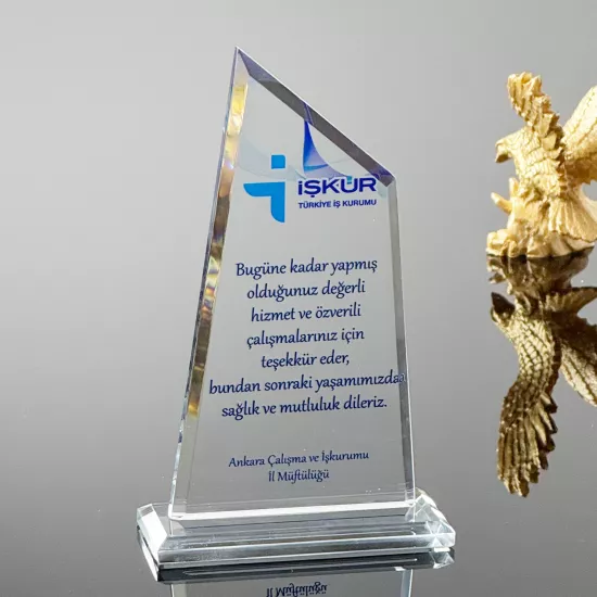 VS-P139 Kristal Cam Plaket