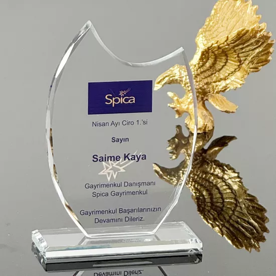 VS-P218 Kristal Cam Plaket