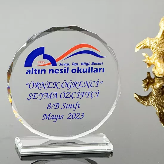 VS-P219 Kristal Cam Plaket