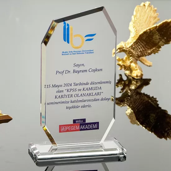 VS-P101 Kristal Cam Plaket